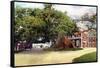 Silk Cotton Tree, Nassau, New Providence, Bahamas, C1900s-null-Framed Stretched Canvas