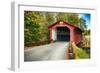 Silk Covered Bridge, Bennington, Vermont-George Oze-Framed Photographic Print