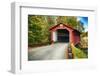 Silk Covered Bridge, Bennington, Vermont-George Oze-Framed Photographic Print