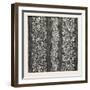 Silk Damask, Houldsworth and Co., Manchester-null-Framed Premium Giclee Print