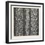 Silk Damask, Houldsworth and Co., Manchester-null-Framed Premium Giclee Print