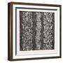 Silk Damask, Houldsworth and Co., Manchester-null-Framed Giclee Print