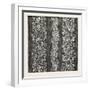 Silk Damask, Houldsworth and Co., Manchester-null-Framed Giclee Print