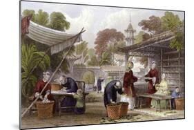 Silk Feeding Silkworms-Thomas Allom-Mounted Art Print