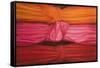 Silk Knots, 2010-Lincoln Seligman-Framed Stretched Canvas