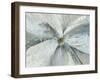 Silk Petals-Asia Jensen-Framed Art Print