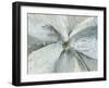 Silk Petals-Asia Jensen-Framed Art Print