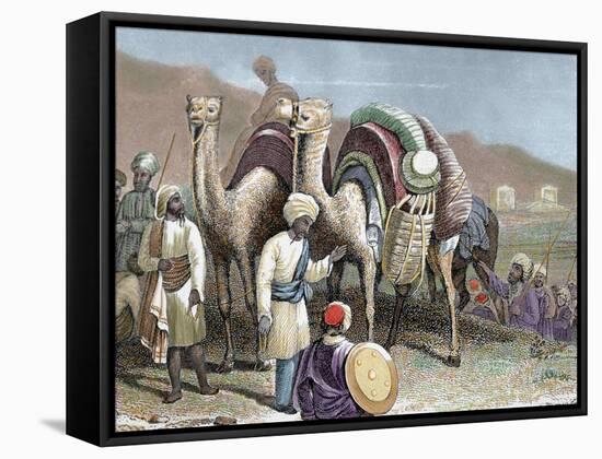 Silk Road, Caravan of Camels Resting, Antioch-Prisma Archivo-Framed Stretched Canvas