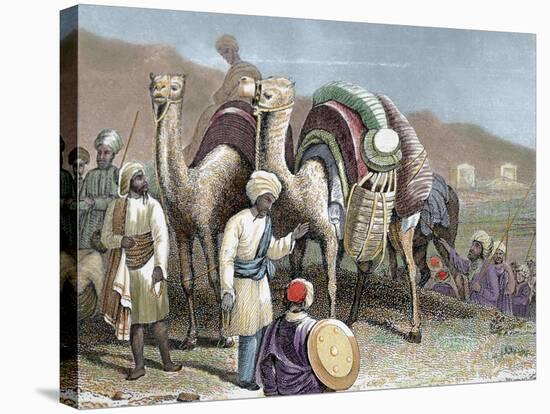 Silk Road, Caravan of Camels Resting, Antioch-Prisma Archivo-Stretched Canvas