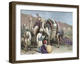 Silk Road, Caravan of Camels Resting, Antioch-Prisma Archivo-Framed Photographic Print