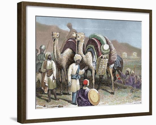 Silk Road, Caravan of Camels Resting, Antioch-Prisma Archivo-Framed Photographic Print