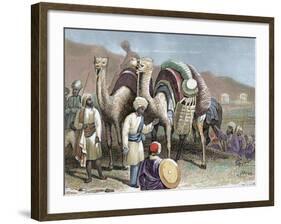 Silk Road, Caravan of Camels Resting, Antioch-Prisma Archivo-Framed Photographic Print