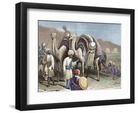 Silk Road, Caravan of Camels Resting, Antioch-Prisma Archivo-Framed Photographic Print