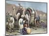 Silk Road, Caravan of Camels Resting, Antioch-Prisma Archivo-Mounted Photographic Print