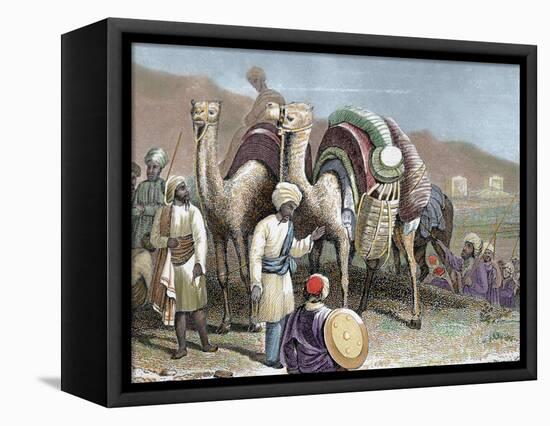 Silk Road, Caravan of Camels Resting, Antioch-Prisma Archivo-Framed Stretched Canvas