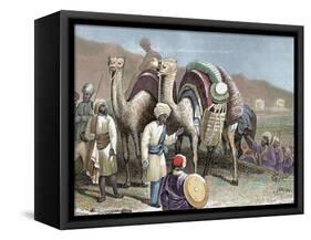 Silk Road, Caravan of Camels Resting, Antioch-Prisma Archivo-Framed Stretched Canvas