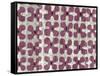 Silk Road Ikat III-Chariklia Zarris-Framed Stretched Canvas