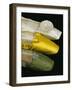 Silk Satin Shoes in Yellow, Green and White, c.1820-30-null-Framed Giclee Print