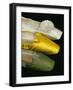 Silk Satin Shoes in Yellow, Green and White, c.1820-30-null-Framed Giclee Print