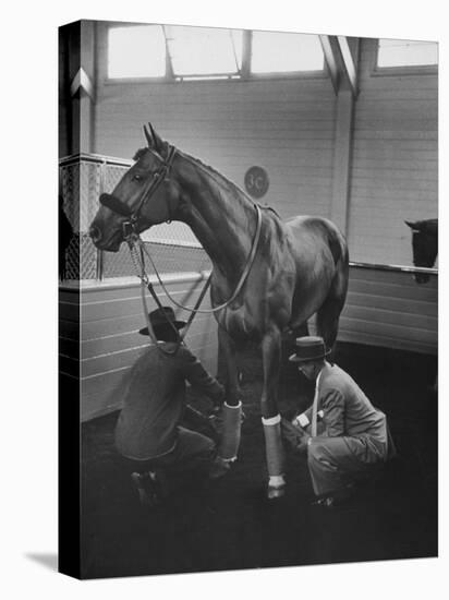 Silky Sullivan Being Prepared for the Santa Anita Derby-Allan Grant-Stretched Canvas