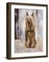 Silky Terrier I-Solveiga-Framed Giclee Print