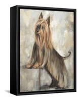 Silky Terrier II-Solveiga-Framed Stretched Canvas