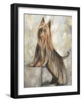 Silky Terrier II-Solveiga-Framed Giclee Print