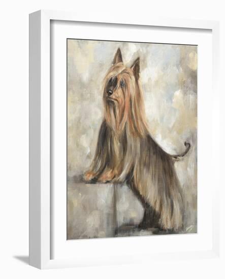 Silky Terrier II-Solveiga-Framed Giclee Print