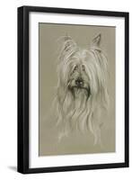 Silky Terrier-Barbara Keith-Framed Giclee Print
