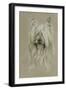 Silky Terrier-Barbara Keith-Framed Giclee Print