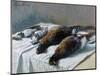 Sill Life, 1879-Claude Monet-Mounted Giclee Print