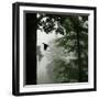 Sillhouette of Black Woodpecker {Dryocopus Martius} Flying from Nest, Vosges Mountains, Lorraine-Poinsignon and Hackel-Framed Photographic Print