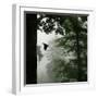 Sillhouette of Black Woodpecker {Dryocopus Martius} Flying from Nest, Vosges Mountains, Lorraine-Poinsignon and Hackel-Framed Photographic Print