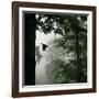 Sillhouette of Black Woodpecker {Dryocopus Martius} Flying from Nest, Vosges Mountains, Lorraine-Poinsignon and Hackel-Framed Photographic Print