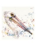 Pelicans About-Sillier than Sally-Art Print