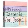 Silly Bunny-Kimberly Allen-Stretched Canvas