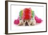 Silly Dog - English Bulldog Dressed Up Like A Clown On White Background-Willee Cole-Framed Photographic Print