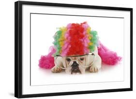 Silly Dog - English Bulldog Dressed Up Like A Clown On White Background-Willee Cole-Framed Photographic Print