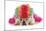 Silly Dog - English Bulldog Dressed Up Like A Clown On White Background-Willee Cole-Mounted Photographic Print