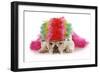 Silly Dog - English Bulldog Dressed Up Like A Clown On White Background-Willee Cole-Framed Photographic Print