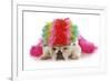 Silly Dog - English Bulldog Dressed Up Like A Clown On White Background-Willee Cole-Framed Photographic Print