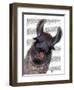 Silly Llama-Fab Funky-Framed Art Print