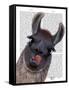 Silly Llama-Fab Funky-Framed Stretched Canvas