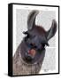 Silly Llama-Fab Funky-Framed Stretched Canvas