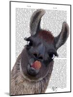 Silly Llama-Fab Funky-Mounted Art Print