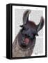 Silly Llama-Fab Funky-Framed Stretched Canvas