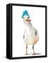 Silly Seagull-Patricia Pinto-Framed Stretched Canvas