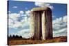 Silo On Golf Course Upstate NY-null-Stretched Canvas