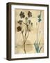 Silohuette Whispers I-Piper Ballantyne-Framed Art Print