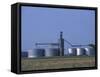 Silos and Field of Soybeans at Chino Farms, Maryland, USA-Jerry & Marcy Monkman-Framed Stretched Canvas